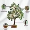 6-3-125x125-1.jpg