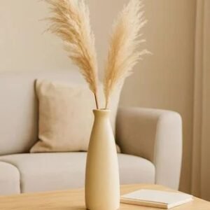 61Zqkdvlwzl Sl1500 500X500 1 Sphinx Triangular Shape Botle Ceramic Vase, Flower Vase Pampas Grass Vase