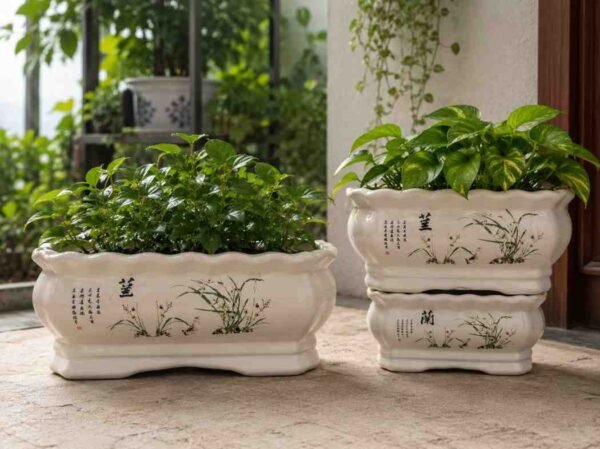 Chinese Ceramic Orchid Planter Lan Series Bonsai Pot