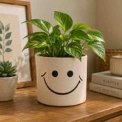 Ceramic Small Smiley Garden Planter Pot