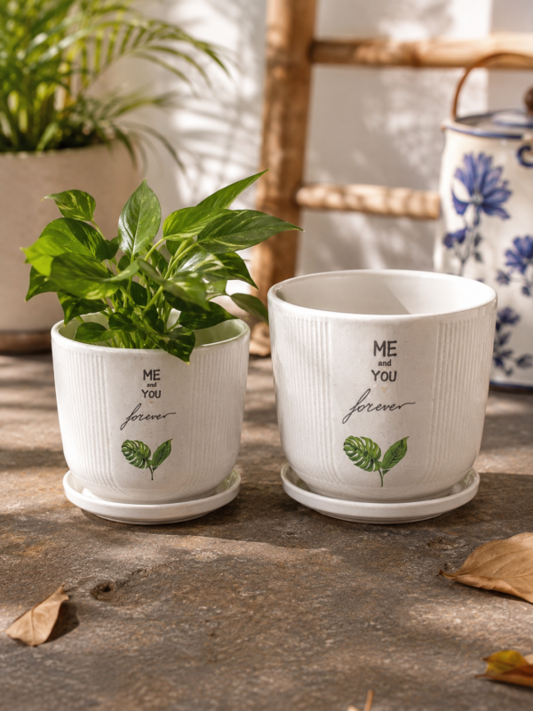 Ceramic cHINA Smiley Planter Pot (2) Ceramic cHINA Smiley Planter Pot (2)