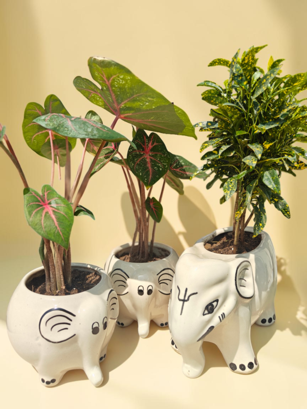 Ceremic Planter Little Decor Thing log Home Garden Decor (279) Ceremic Planter Little Decor Thing log Home Garden Decor (279)