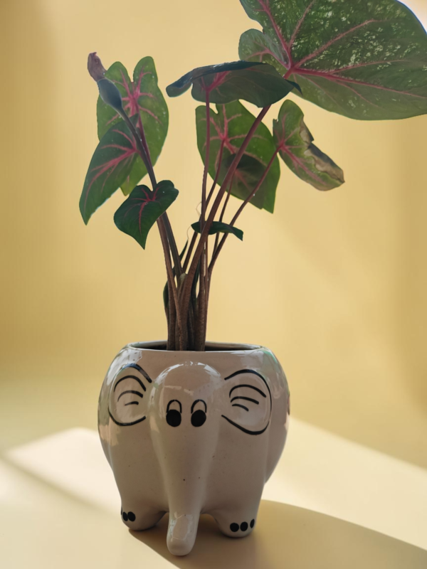 Ceremic Planter Little Decor Thing log Home Garden Decor (9) Ceremic Planter Little Decor Thing log Home Garden Decor (9)