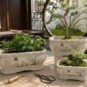 Chinese Ceramic Orchid Planter Lan Series Bonsai Pot