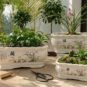 Chinese Ceramic Orchid Planter Lan Series Bonsai Pot