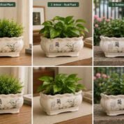 Chinese Ceramic Orchid Planter Lan Series Bonsai Pot