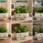Chinese Ceramic Orchid Planter Lan Series Bonsai Pot