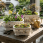 Chinese Ceramic Orchid Planter Lan Series Bonsai Pot
