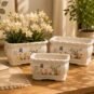 Chinese Ceramic Orchid Planter Lan Series Bonsai Pot