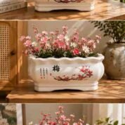 Chinese Ceramic Plum Blossom Planter Set - Mei Series - Bonsai Pot