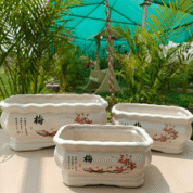 Chinese Ceramic Plum Blossom Planter Set - Mei Series - Bonsai Pot