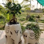 Elephant Ceramic Planter - Hand-Painted White Ceramic Animal Pot (