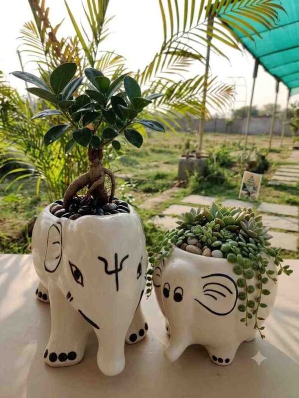 Elephant Ceramic Planter - Hand-Painted White Ceramic Animal Pot Elephant Ceramic Planter - Hand-Painted White Ceramic Animal Pot (