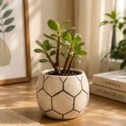 Football Ceramic Planter