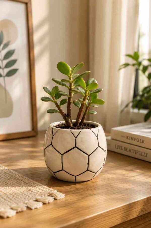Football Ceramic Planter 1 Football Ceramic Planter