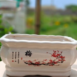 Chinese Ceramic Plum Blossom Planter Set - Mei Series - Bonsai Pot - White (Pack Of 3) 13 Garden Balcony Planter 12 Chinese Ceramic Plum Blossom Planter Set - Mei Series - Bonsai Pot - White (Pack Of 3)