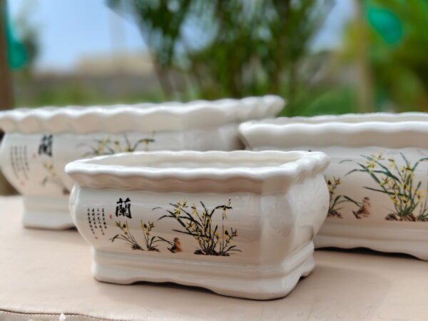 Garden Balcony Planter (14)