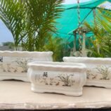 Garden Balcony Planter (19)