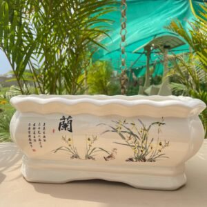 Chinese Ceramic Orchid Planter | Lan Series | Bonsai Pot (Pack of 3) 18 Garden Balcony Planter 20 Chinese Ceramic Orchid Planter | Lan Series | Bonsai Pot (Pack Of 3)