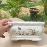 Garden Balcony Planter (3)