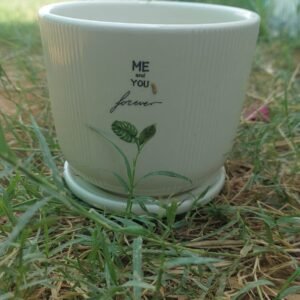 Ceramic Pot Me & You Forever 28 Img 20260429 Wa0001 Ceramic Pot Me &Amp;Amp; You Forever