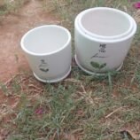 IMG-20260429-WA0007