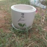 IMG-20260429-WA0008