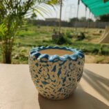 IMG_20260503_084655
