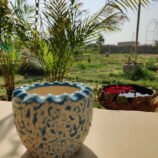 IMG_20260503_084703
