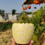 IMG_20260503_084836