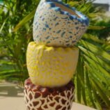 IMG_20260503_085411_Bokeh