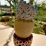 IMG_20260503_085446