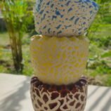 IMG_20260503_085456_Bokeh