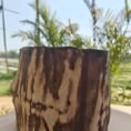 Rustic Wood Finish Ceramic Planter Set (13)