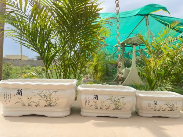 Ceramic White Bonsai Pot Set – Orchid Garden Ceramic White Bonsai Pot Set – Orchid Garden