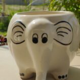 ceremic planter and pots (13)