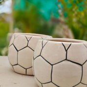 ceremic planter and pots (18)