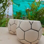 ceremic planter and pots (19)