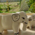ceremic planter and pots (2)