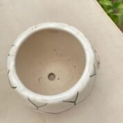 ceremic planter and pots (6)