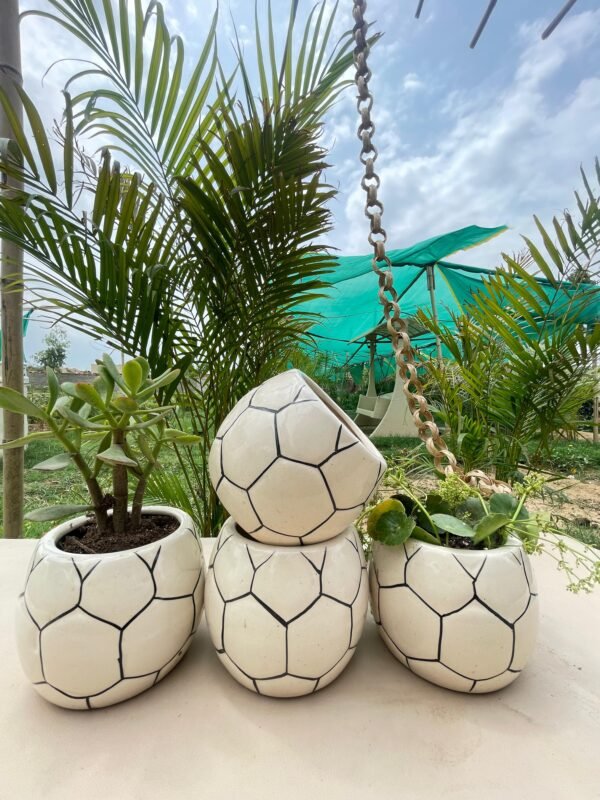 ceremic planter and pots (8) ceremic planter and pots (8)