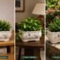 Chinese Ceramic Orchid Planter Lan Series Bonsai Pot