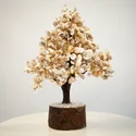gomati-chakra-prosperity-tree-125x125-1.png gomati-chakra-prosperity-tree-125x125-1.png