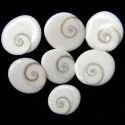 gomati-chakra-symbol-of-maa-laxmi-for-pooja-and-positivity-125x125-1.jpg gomati-chakra-symbol-of-maa-laxmi-for-pooja-and-positivity-125x125-1.jpg