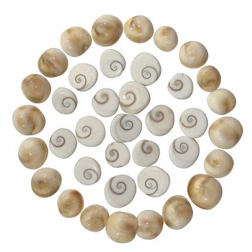 gomati-chakra-symbol-of-maa-laxmi-for-pooja-and-positivity-500x500-1.jpg gomati-chakra-symbol-of-maa-laxmi-for-pooja-and-positivity-500x500-1.jpg