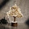 gomti-chakra-white-shell-crystal-tree-for-vastu-125x125-1.jpg