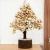 gomti-chakra-white-shell-crystal-tree-for-vastu-125x125-3.jpg