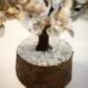 gomti-chakra-white-shell-crystal-tree-for-vastu-125x125-4.jpg