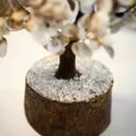 gomti-chakra-white-shell-crystal-tree-for-vastu-125x125-4.jpg gomti-chakra-white-shell-crystal-tree-for-vastu-125x125-4.jpg