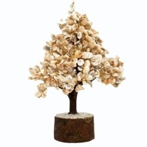 Gomti Chakra White Shell Crystal Tree for Vastu Crystal Gemstone Decor Tree 20 Gomti Chakra White Shell Crystal Tree For Vastu 500X500 1 Gomti Chakra White Shell Crystal Tree For Vastu Crystal Gemstone Decor Tree
